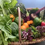 L Escapade Nature Et Gourmande Gites, D'hotes, Piscine, Toulouse Colomiers Gers Appartamento