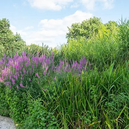 L Escapade Nature Et Gourmande Gites, D'hotes, Piscine, Toulouse Colomiers Gers *