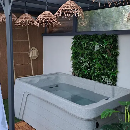 L Escapade Nature Et Gourmande Gîtes, D'hôtes, Piscine, Toulouse Colomiers Gers *