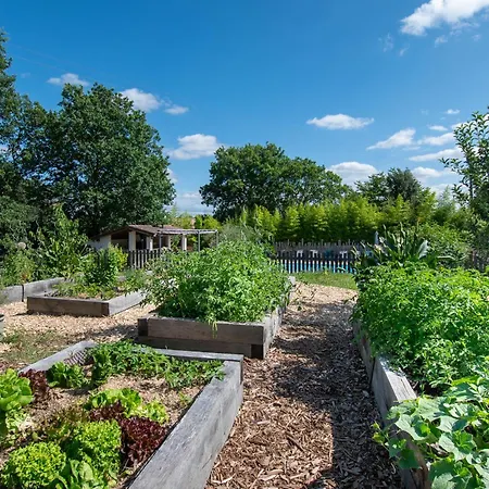 L Escapade Nature Et Gourmande Gites, D'hotes, Piscine, Toulouse Colomiers Gers * Pujaudran