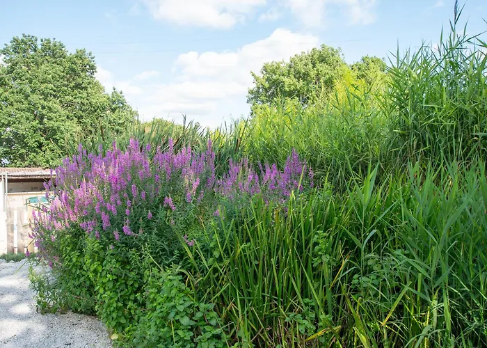 L Escapade Nature Et Gourmande Gites, D'hotes, Piscine, Toulouse Colomiers Gers *