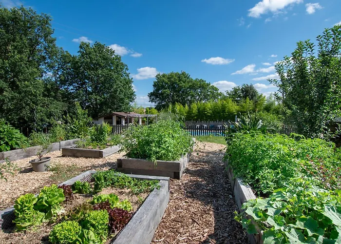 L Escapade Nature Et Gourmande Gites, D'hotes, Piscine, Toulouse Colomiers Gers * Pujaudran