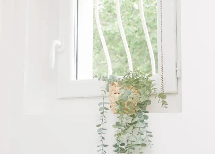 L Escapade Nature Et Gourmande Gites, D'hotes, Piscine, Toulouse Colomiers Gers *