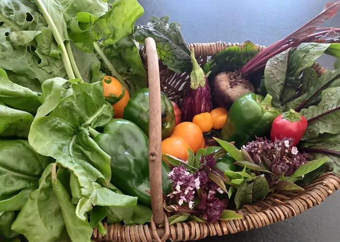 L Escapade Nature Et Gourmande Gites, D'hotes, Piscine, Toulouse Colomiers Gers Apartman